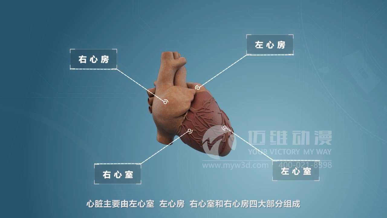 醫(yī)療器械三維動(dòng)畫制作 醫(yī)療器械三維動(dòng)畫制作