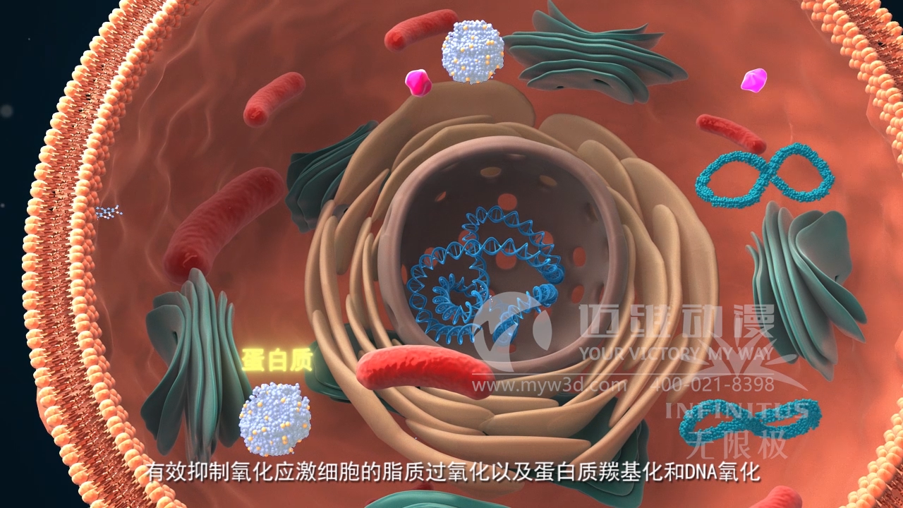 醫(yī)學(xué)醫(yī)療三維動(dòng)畫(huà)制作公司 醫(yī)學(xué)醫(yī)療三維動(dòng)畫(huà)制作公司