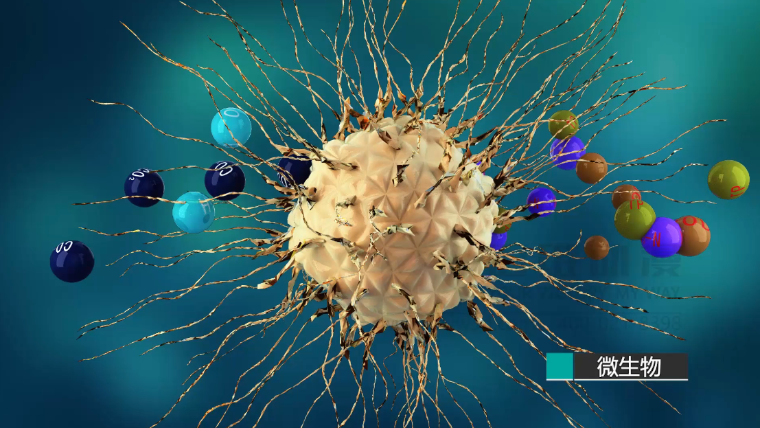 水處理三維動畫 水處理三維動畫