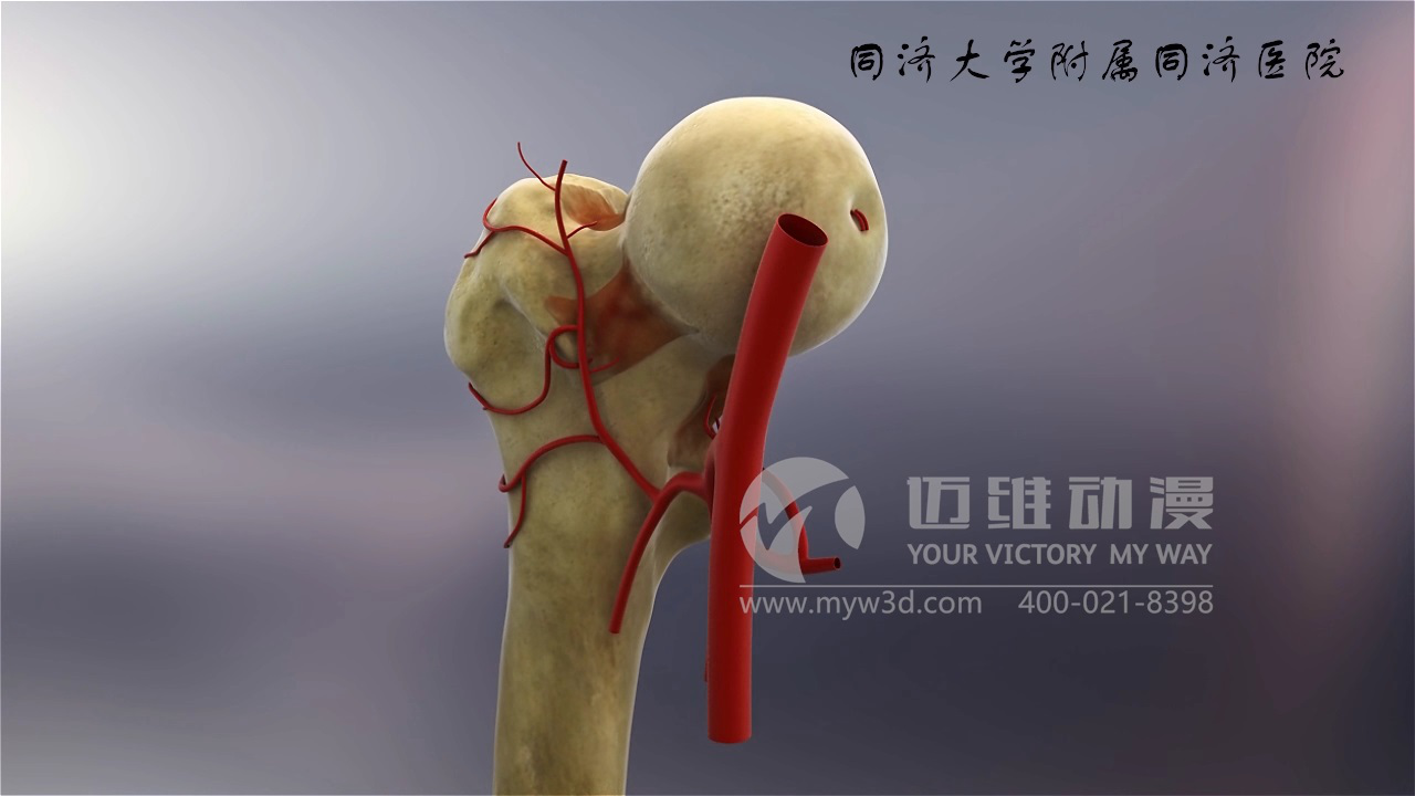 醫(yī)學(xué)仿真三維動(dòng)畫演示