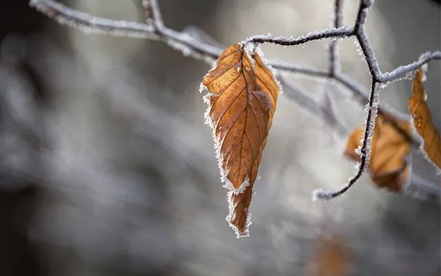 邁維動(dòng)漫公司新聞