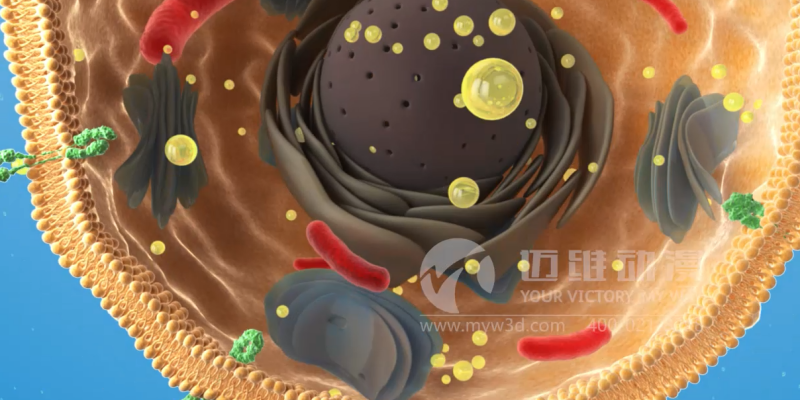 醫(yī)學(xué)三維動(dòng)畫制作效果展示-上海三維動(dòng)畫制作(圖6) 醫(yī)學(xué)三維動(dòng)畫制作效果展示-上海三維動(dòng)畫制作(圖6)