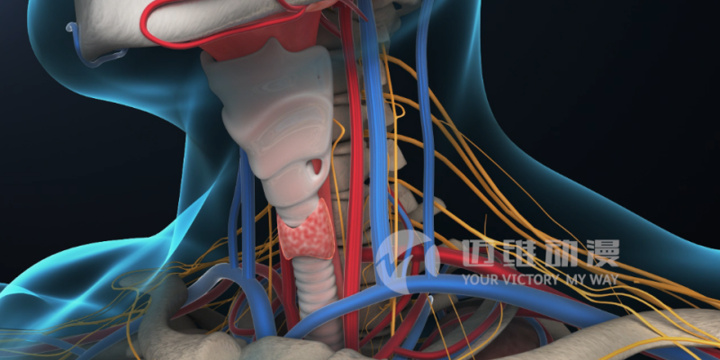 三維動畫給醫(yī)學(xué)領(lǐng)域帶來哪些便利？(圖1)