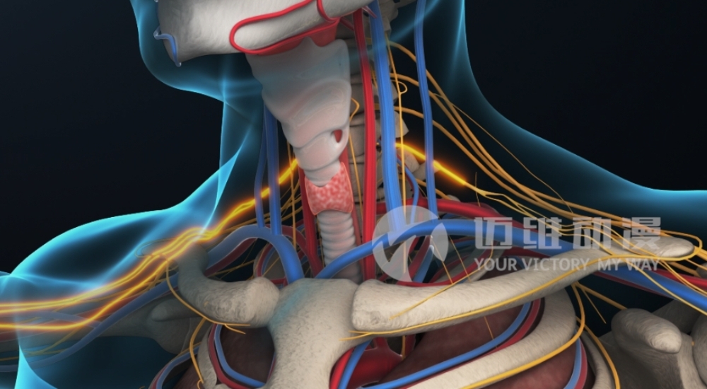 火爆出圈的“三維動畫”，能為醫(yī)學行業(yè)發(fā)展帶來哪些機遇？(圖3)