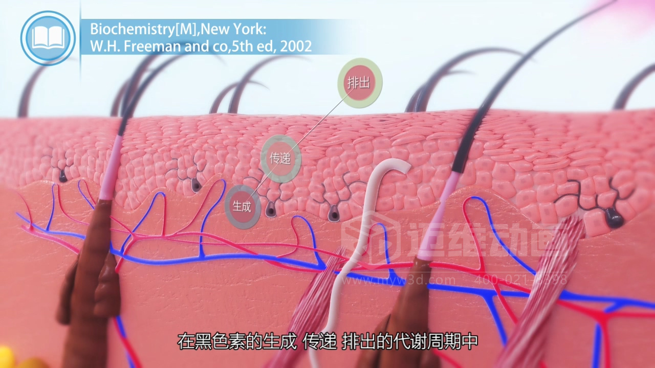 醫(yī)學科普從來不是 “天書”：三維動畫讓復雜科學原理輕松 get！(圖2)