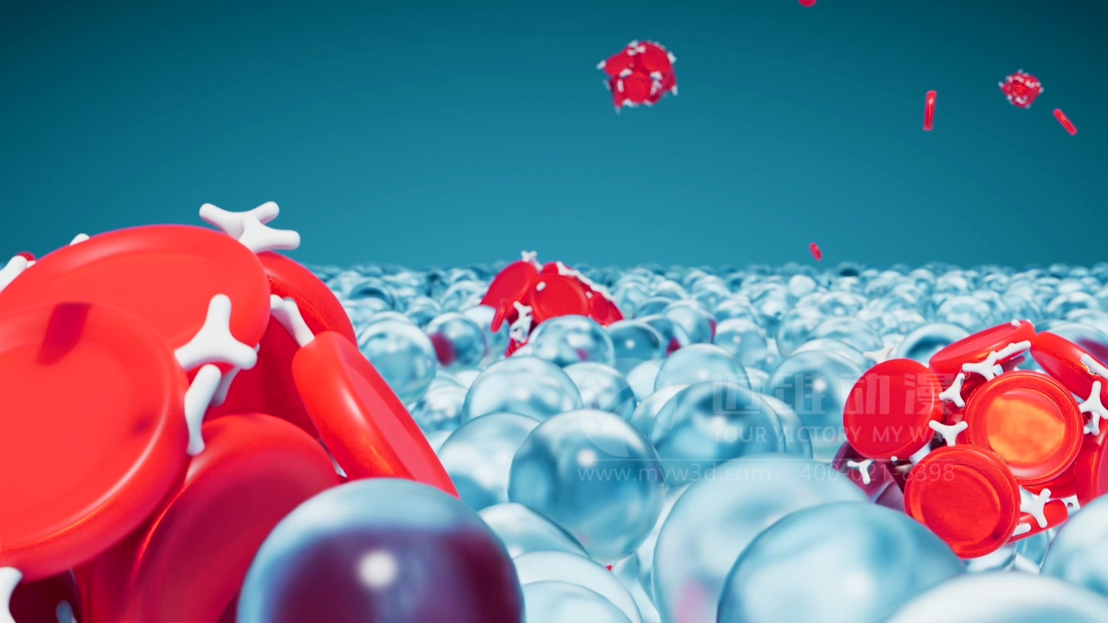 全自動血型分析儀產(chǎn)品三維動畫(圖3) 全自動血型分析儀產(chǎn)品三維動畫(圖3)