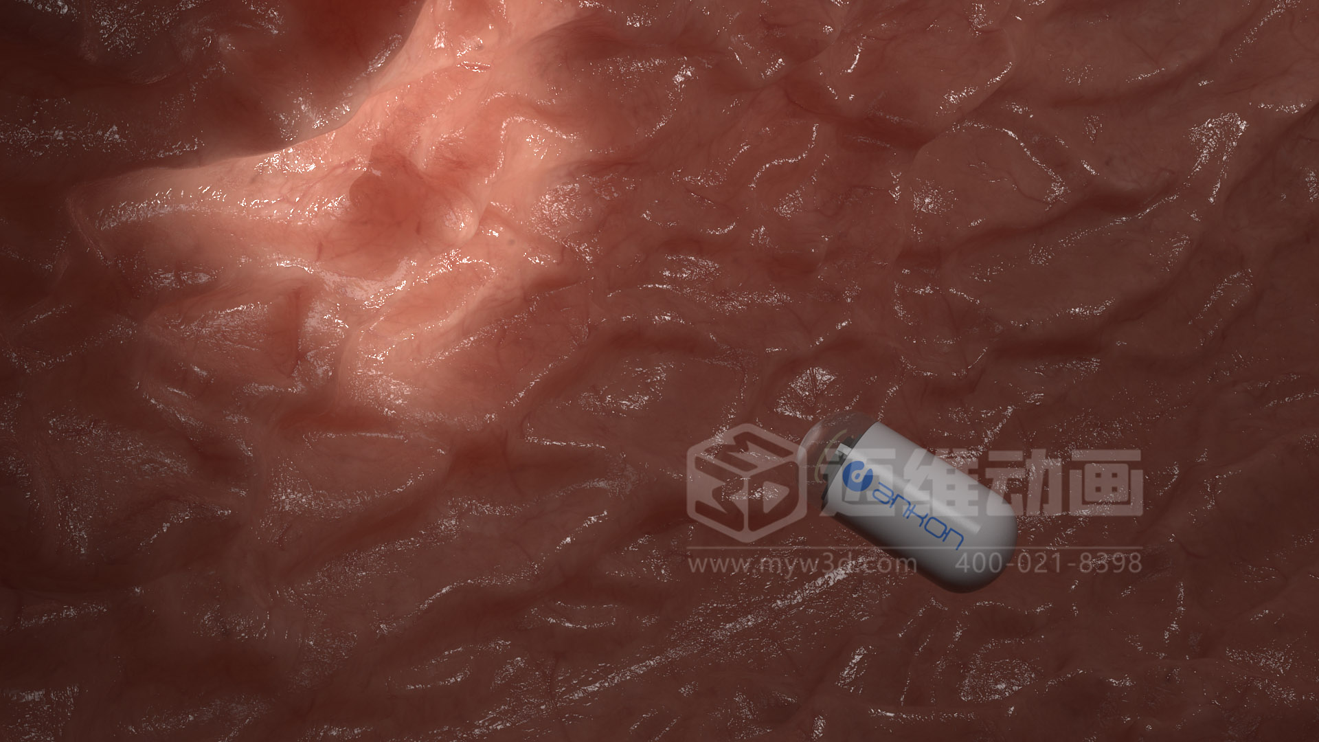 磁控膠囊機(jī)器人三維動(dòng)畫(圖6) 磁控膠囊機(jī)器人三維動(dòng)畫(圖6)