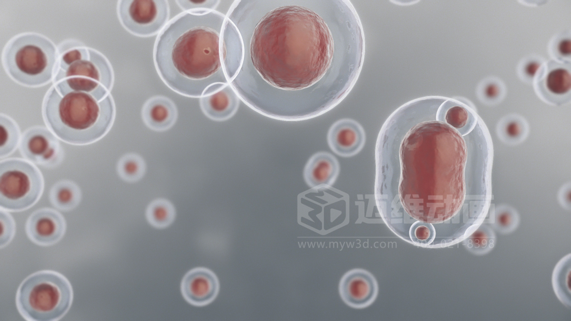 技術(shù)太復(fù)雜，講不明白？用 3D 動畫為您的生物科技產(chǎn)品打造 “視覺說明書”(圖3)